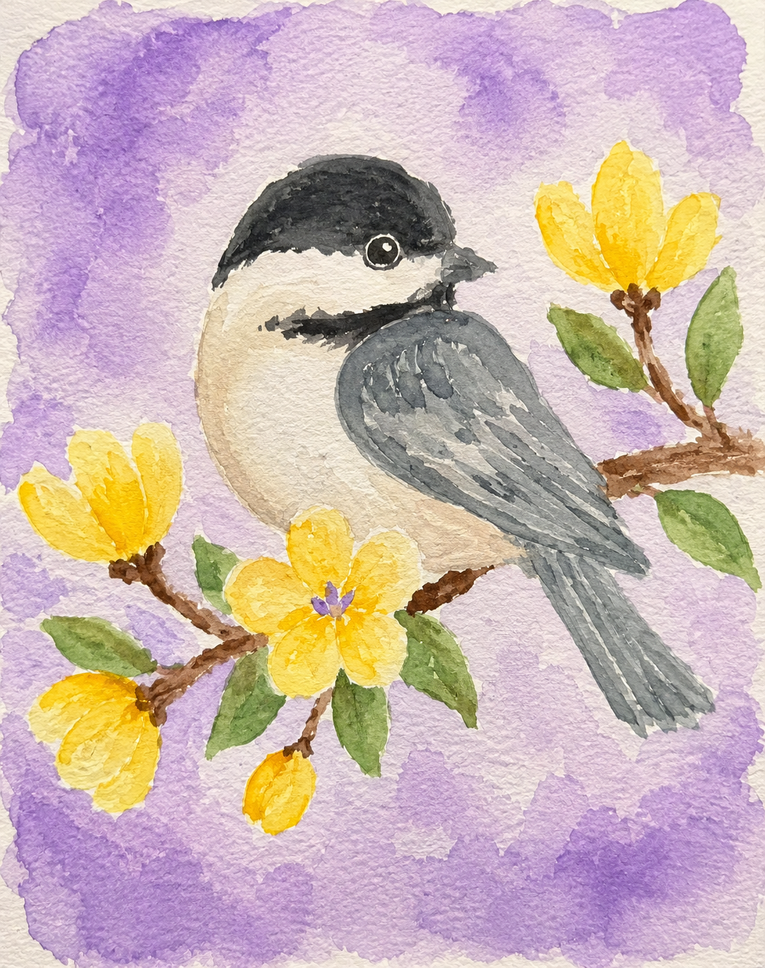 Watercolor Adventure Kits - Feathered Seasons